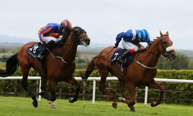 SHAMROCK Sun: Navan NAP