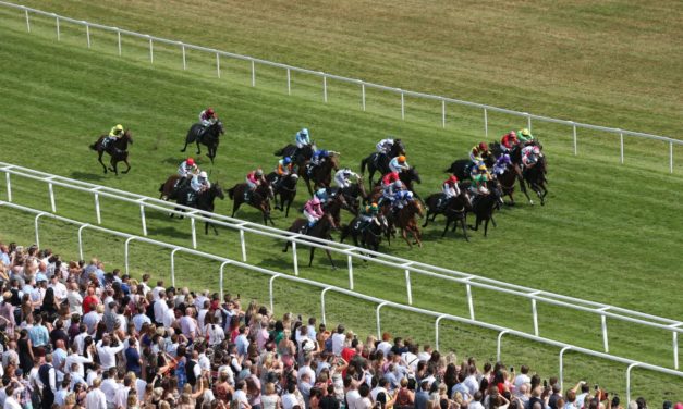 PROFORM Sat: Newbury NAP