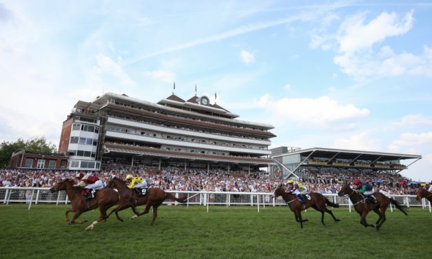 PROFORM Sat: Newbury NAP