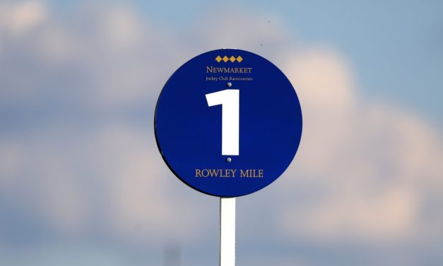 PROFORM Tues: Newmarket NAP