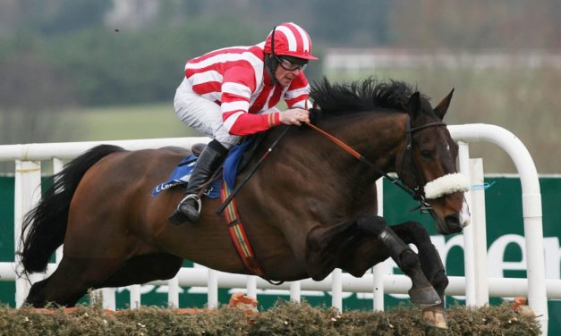 PROFORM Sun: Sligo NAP