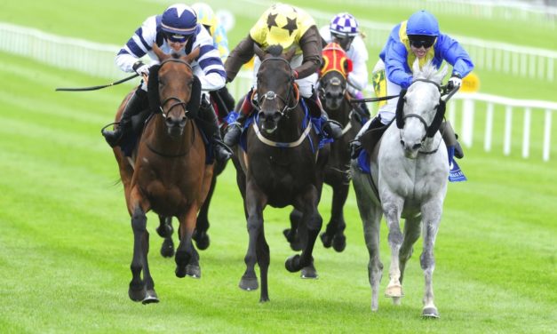 SHAMROCK Thurs: Tipperary NAP