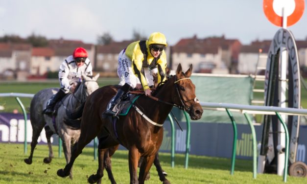 DAQMAN Weds: Ayr NAP