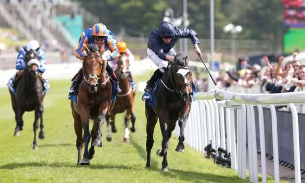 PROFORM Weds: Chester NAP