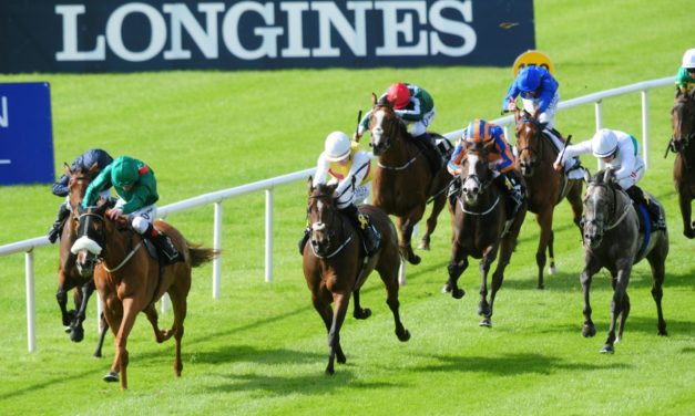 SHAMROCK Mon: Curragh NAP