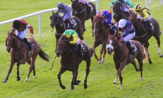 SHAMROCK Fri: Curragh NAP