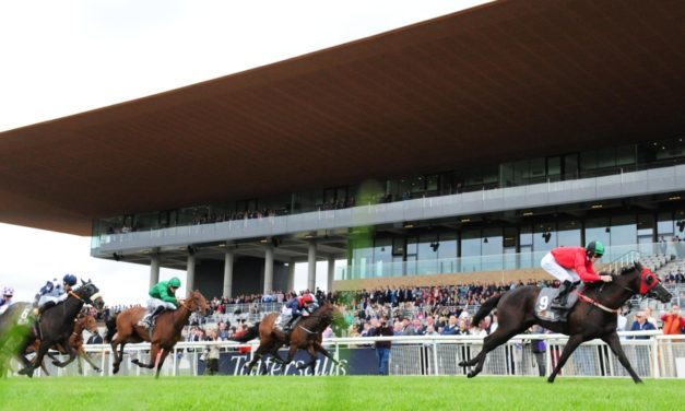 SHAMROCK Sat: Curragh NAP