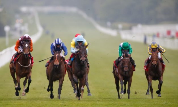 PROFORM Sat: Lingfield NAP