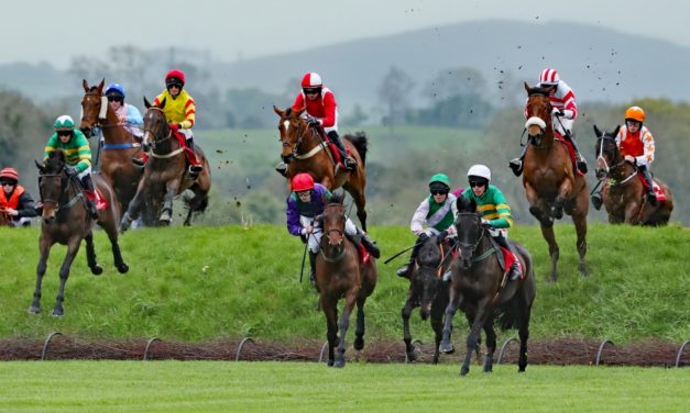 DAQMAN Thurs: Punchestown SUPERNAP