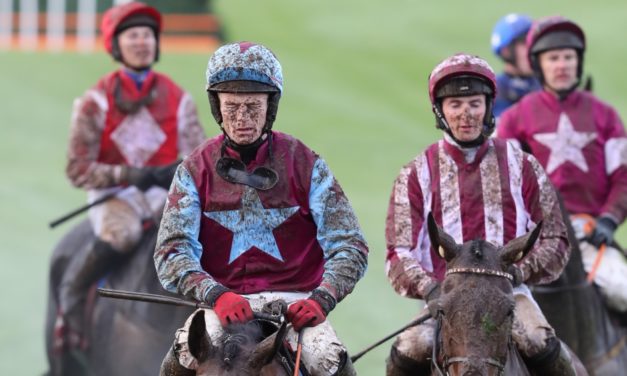 SHAMROCK Weds: Punchestown NAP