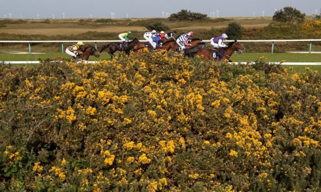PROFORM Weds: Yarmouth NAP