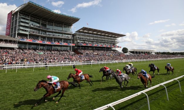 DAQMAN Weds: York NAP