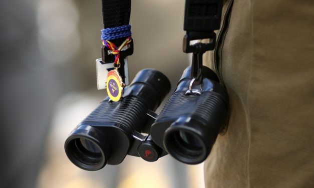 SHAMROCK Fri: Cork NAP