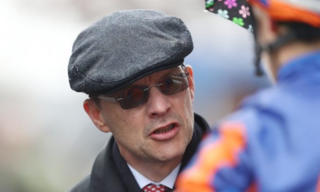 SHAMROCK Weds: Bellewstown NAP