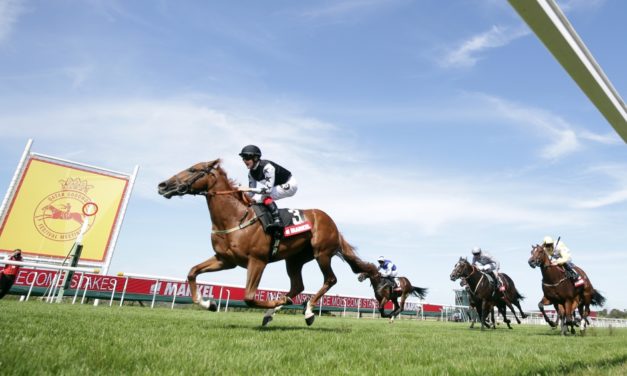 DAQMAN Tues: Glorious Goodwood Day One