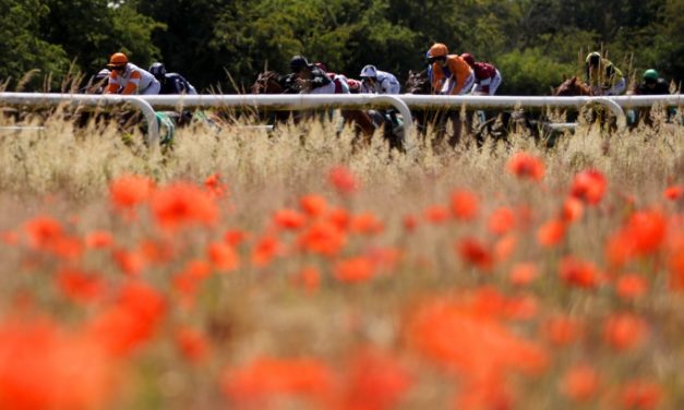 DAQMAN Weds: Thirsk NAP