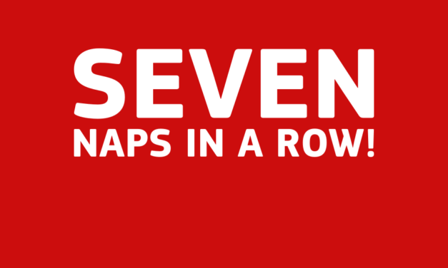 SHAMROCK Thurs: It’s 7 NAPS IN A ROW !!!!