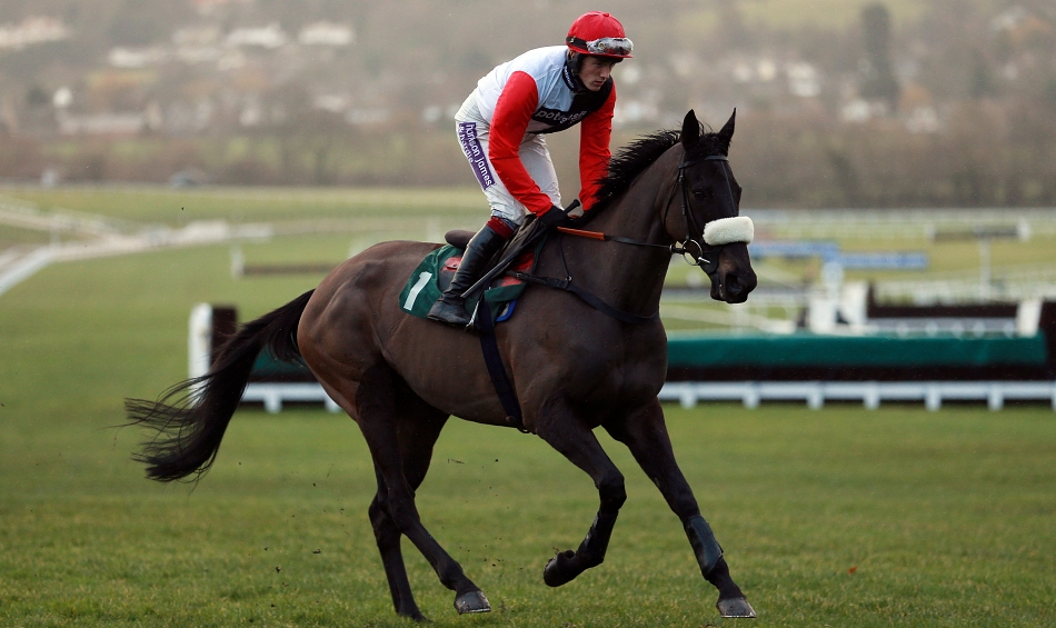 Three Most Memorable Cheltenham Stayer Hurdles In The Last 10 Years