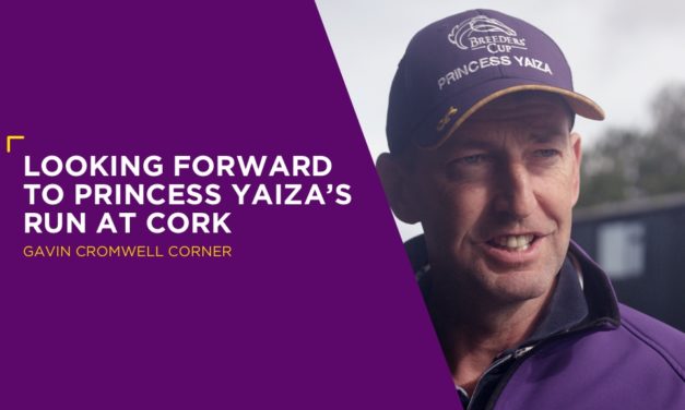 GAVIN CROMWELL: Looking Forward To Princess Yaiza’s Run At Cork