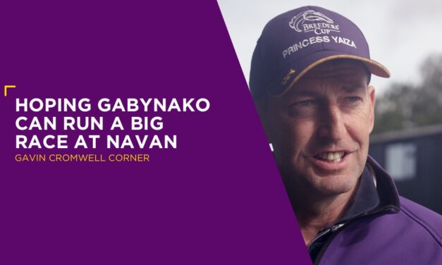GAVIN CROMWELL: Hoping Gabynako Can Run A Big Race At Navan