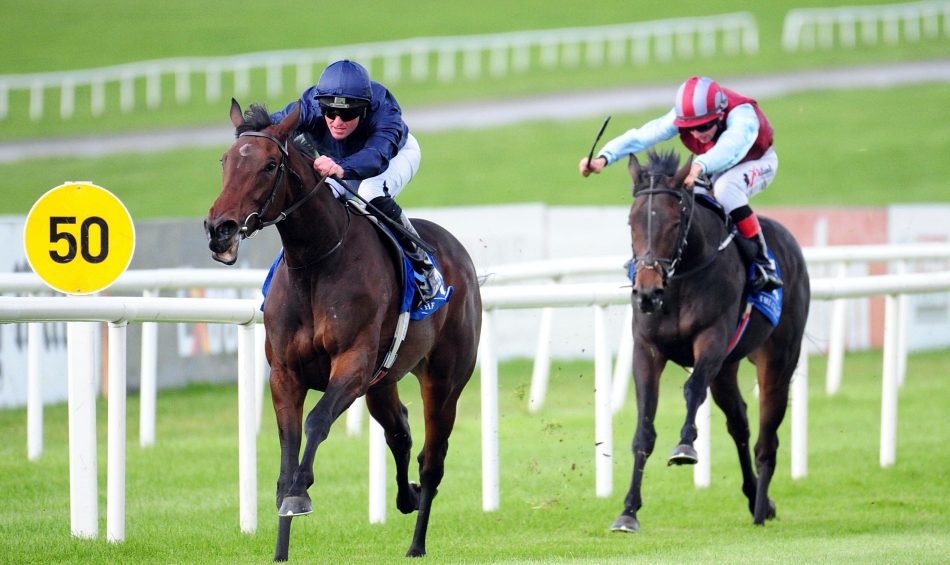 DAQMAN Tues: Epsom NAP