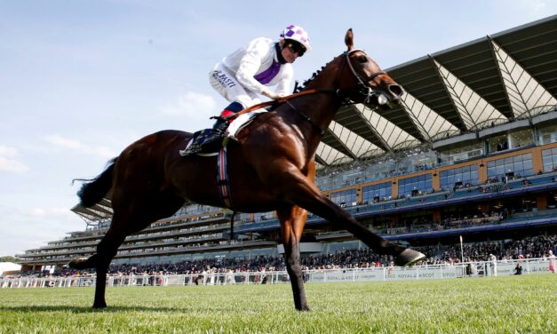 BIG RACE PREVIEW: Qatar Sussex Stakes