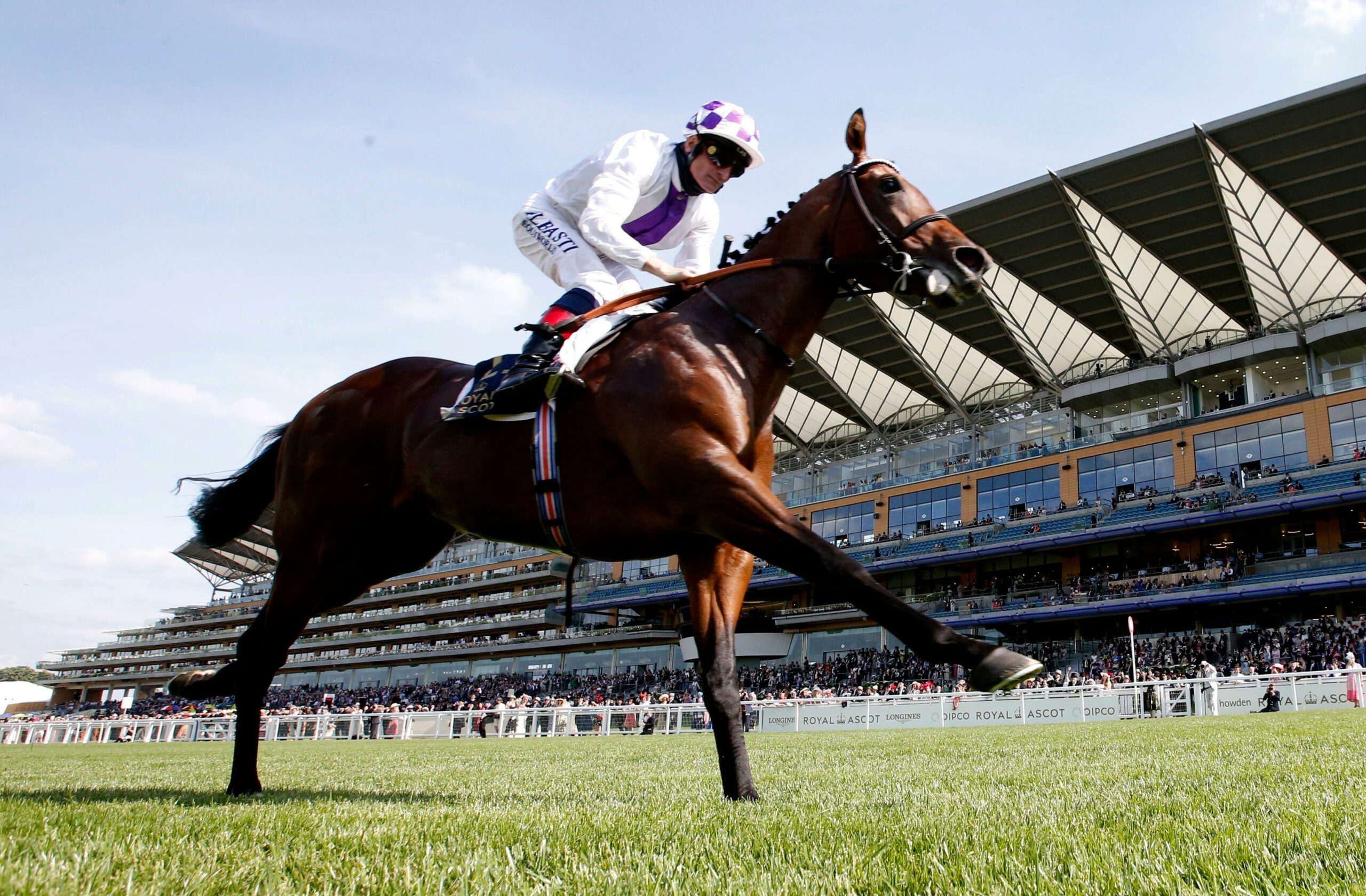 BIG RACE PREVIEW: Qatar Sussex Stakes