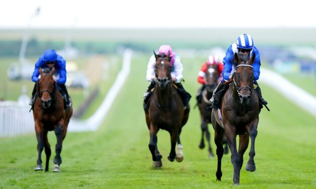 BIG RACE PREVIEW: Bonhams Thoroughbred Stakes