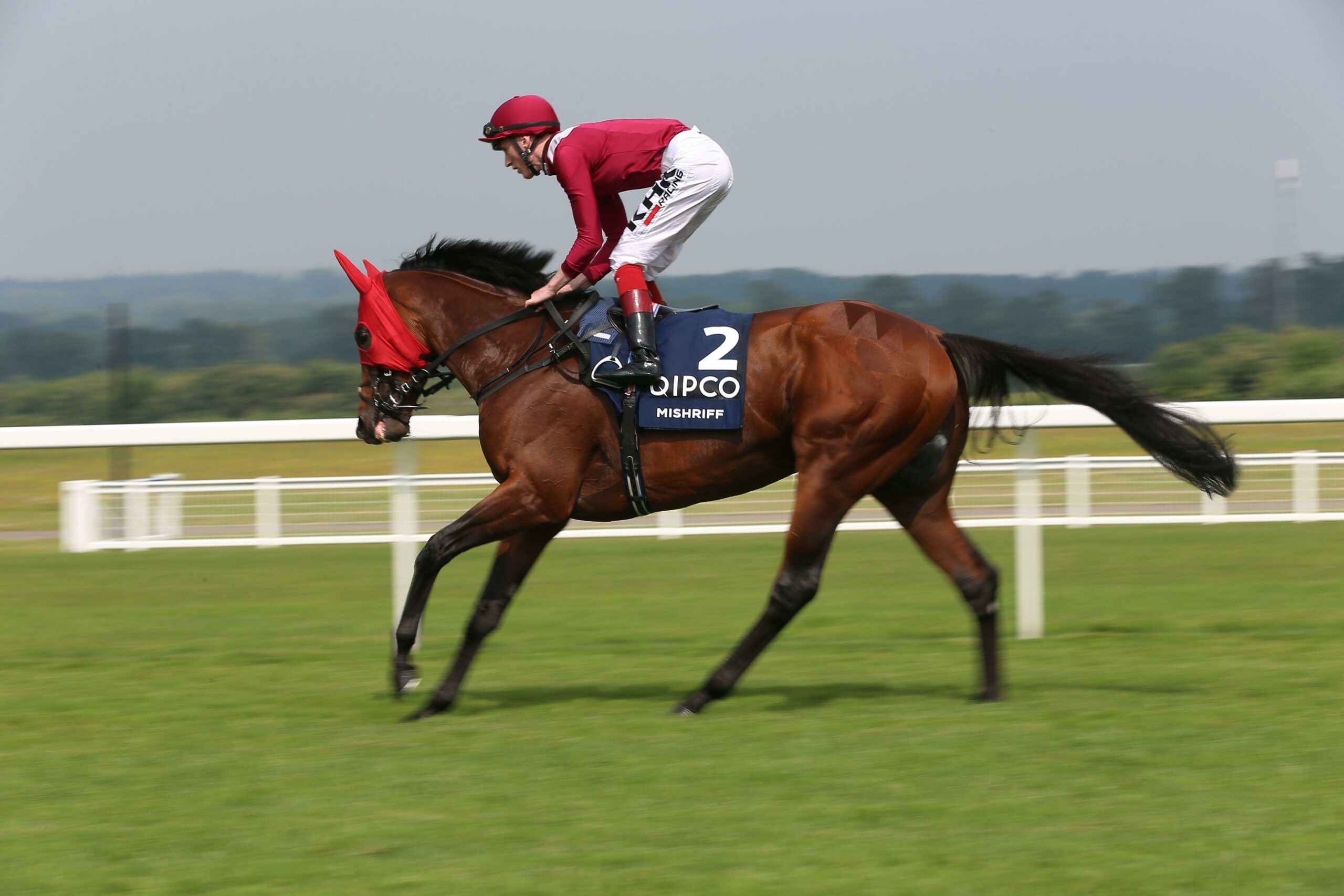 BIG RACE PREVIEW: Juddmonte International Stakes
