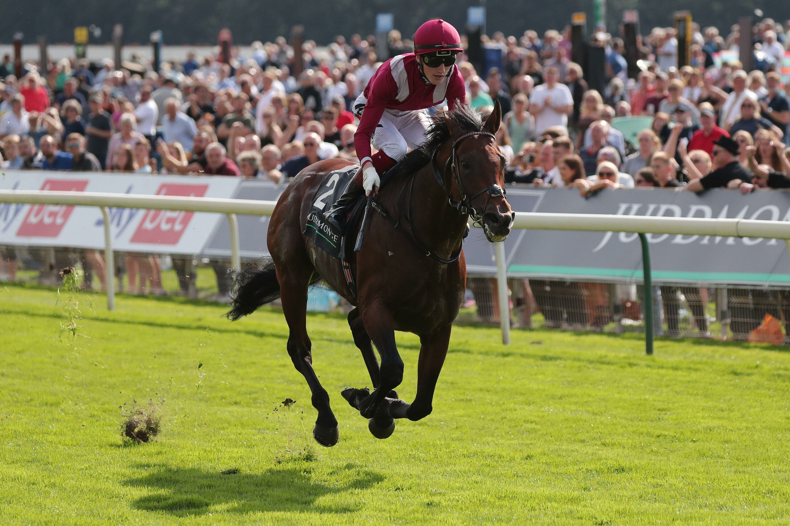 BIG RACE PREVIEW: Qipco Champion Stakes