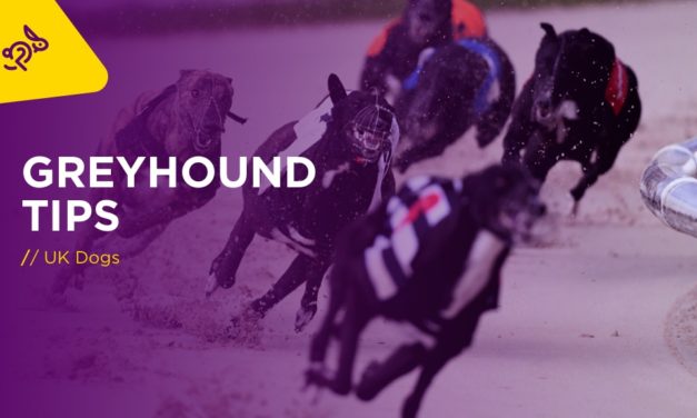 GREYHOUNDS Thurs: Two To Follow