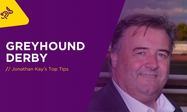 JONATHAN KAY: Greyhound Derby Final And Towcester Tips