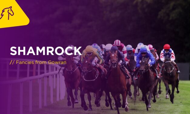 SHAMROCK Sat: Fancies From Gowran