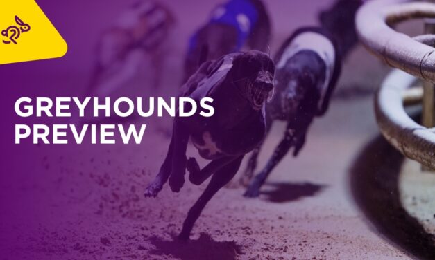GREYHOUNDS: Weekend Preview with BARRY CAUL