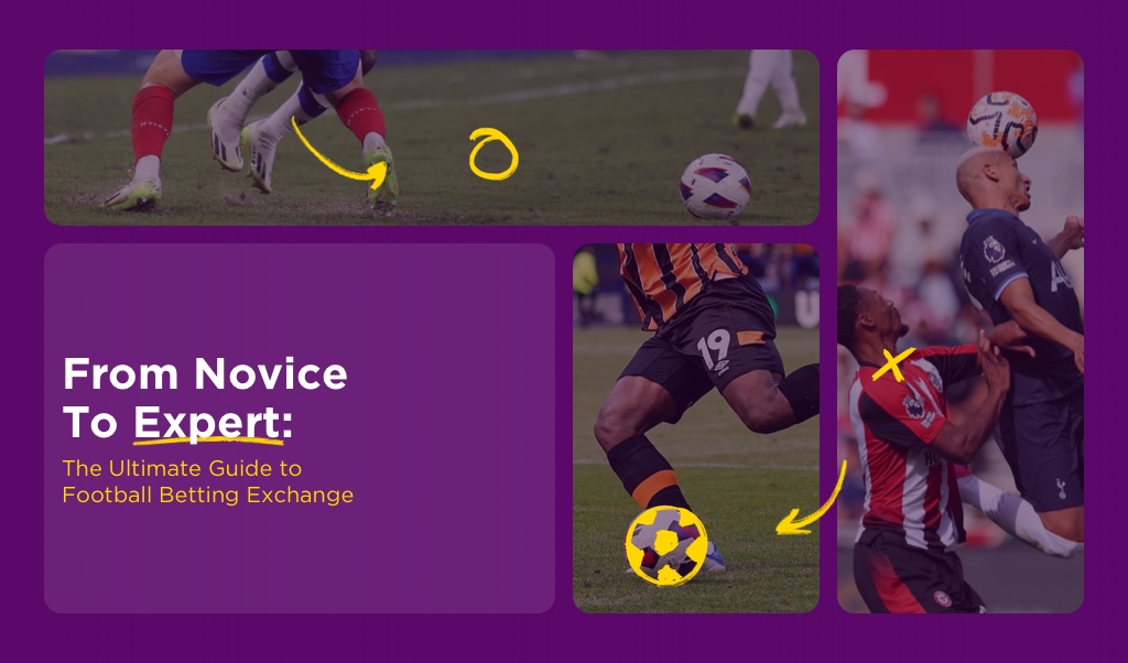 From Novice to Expert: The Ultimate Guide to Football Betting Exchange