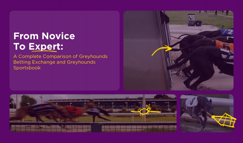 From Novice to Expert: A Complete Comparison of Greyhounds Betting Exchange and Greyhounds Sportsbook