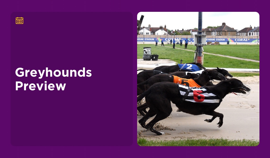 WEEKEND GREYHOUND PREVIEW: with BARRY CAUL