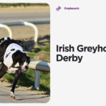 IRISH GREYHOUND DERBY Fri: Barry Caul Preview