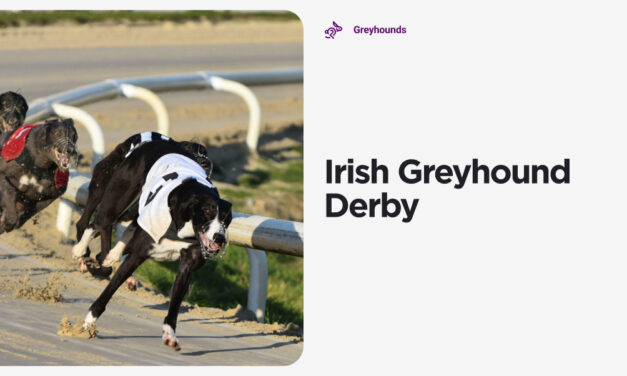 IRISH GREYHOUND DERBY SEMI-FINALS with BARRY CAUL