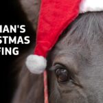 DAQMAN: Christmas Briefing