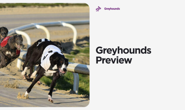 GREYHOUND PREVIEW: Finals Night At Hove