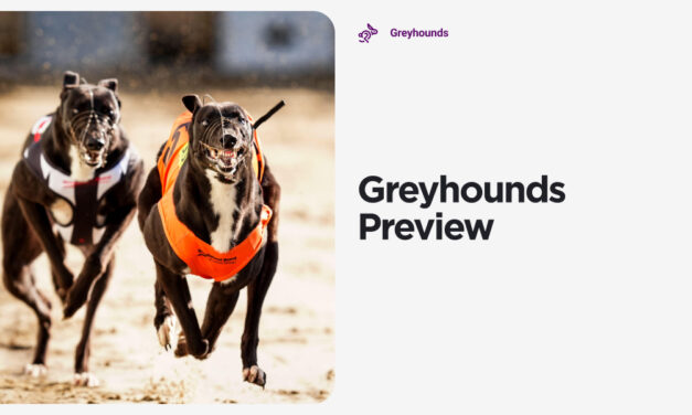 GREYHOUND PREVIEW: Finals Weekend at Romford, Sheffield and Central Park