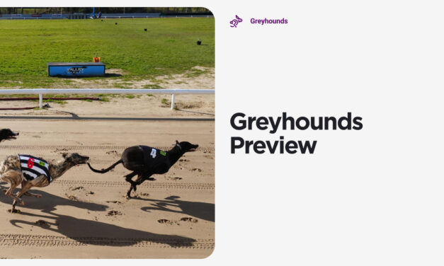 GREYHOUND PREVIEW: Weekend Action At Dundalk And Monmore