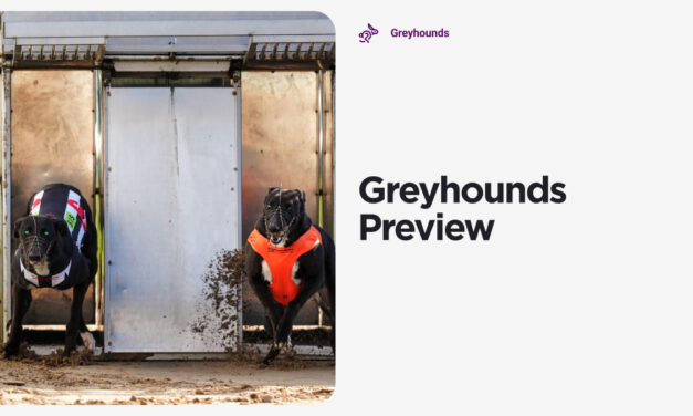 WEEKEND GREYHOUND PREVIEW: With BARRY CAUL