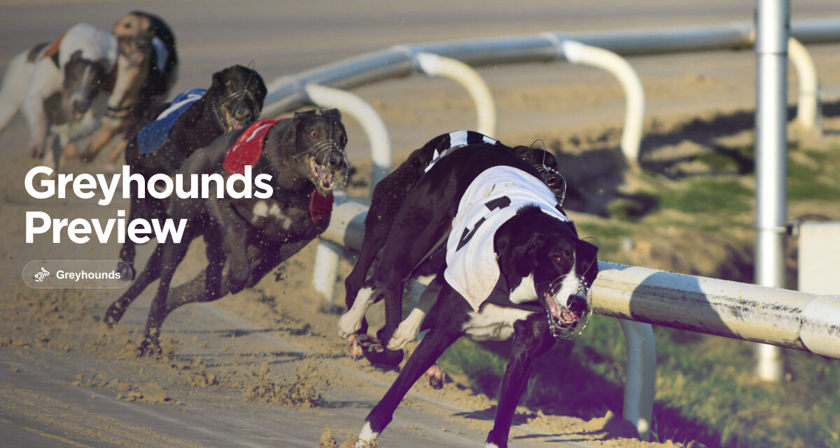 ENGLISH GREYHOUND DERBY PREVIEW with BARRY CAUL