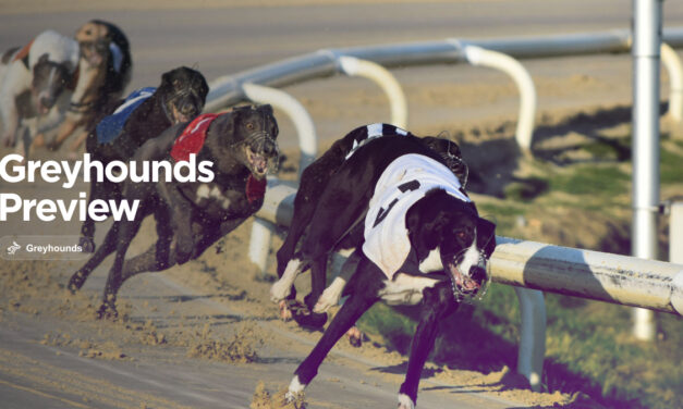 ENGLISH GREYHOUND DERBY: Saturday Third Round